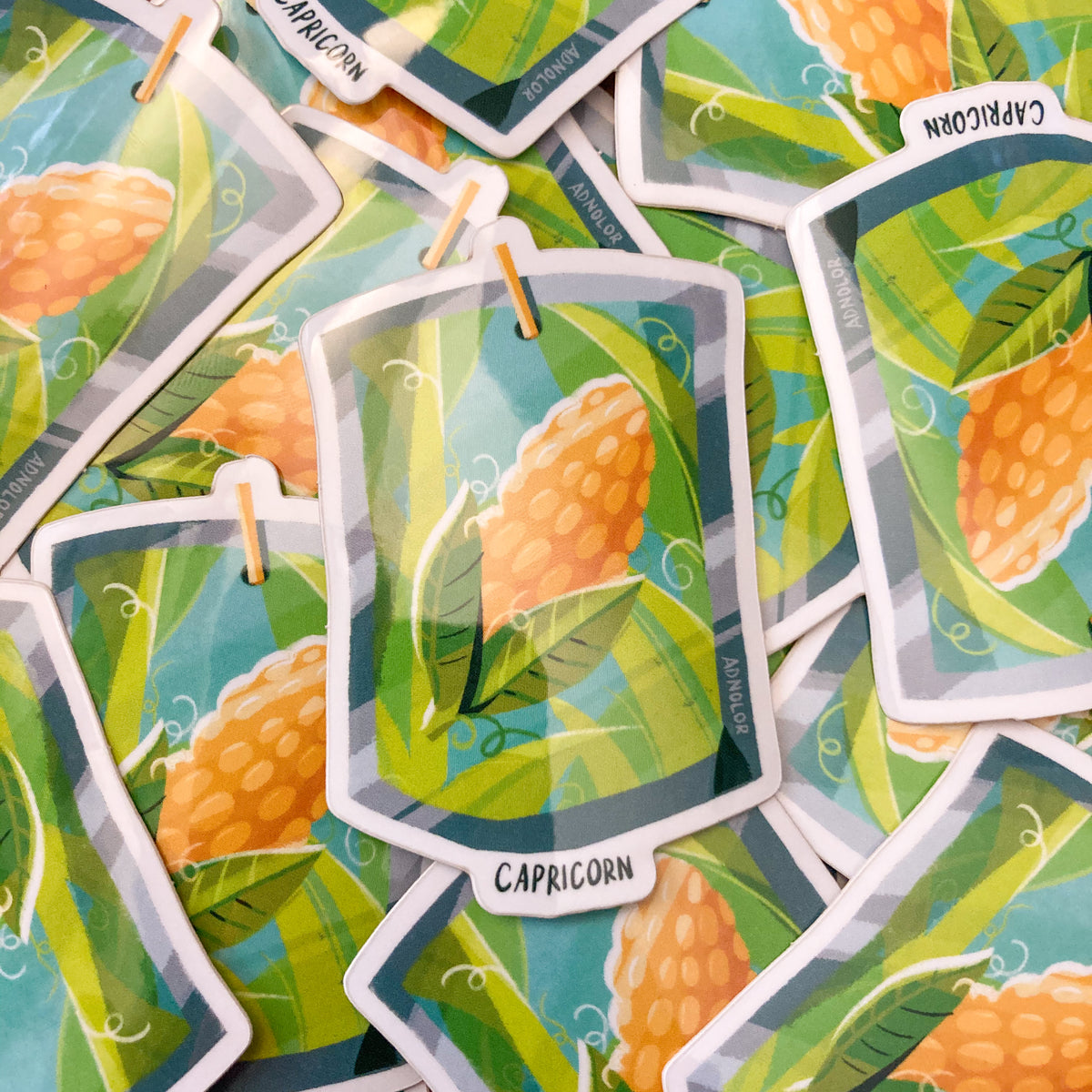 Capricorn Vinyl Stickers